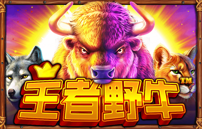 c7娱乐app